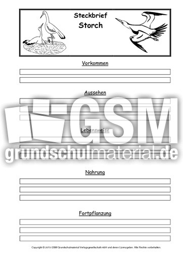 Steckbriefvorlage-Storch.pdf